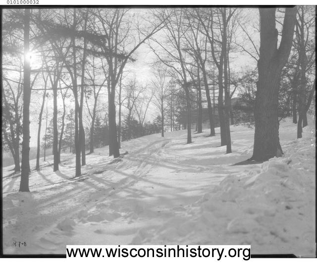 University Drive in winter Winter scene of trees along University Drive, Madison, Wisconsin.
