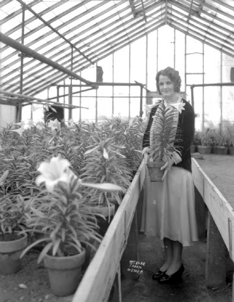 Ruth Jordan holding an Easter lily plant in Smith-Knox Floral Co. greenhouse, 2023 Sherman Avenue.