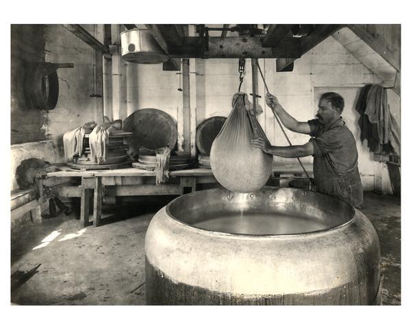 A worker at the Jorden Cheese factory dips curd to make swiss cheese.