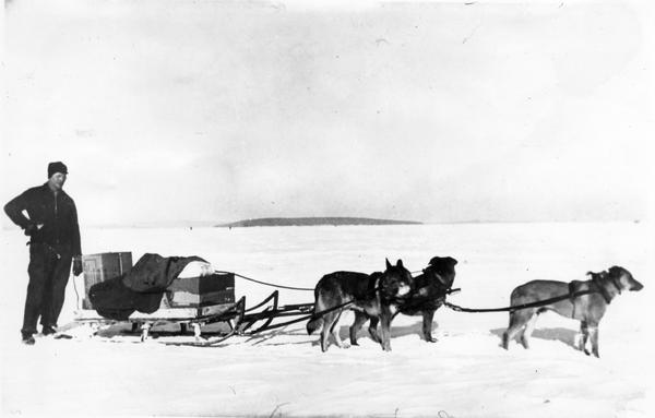 Howard Russell standing next to his dog team pulling the "Traino."  Russell and the team are ready to leave Madeline Island with the U.S. Mail.