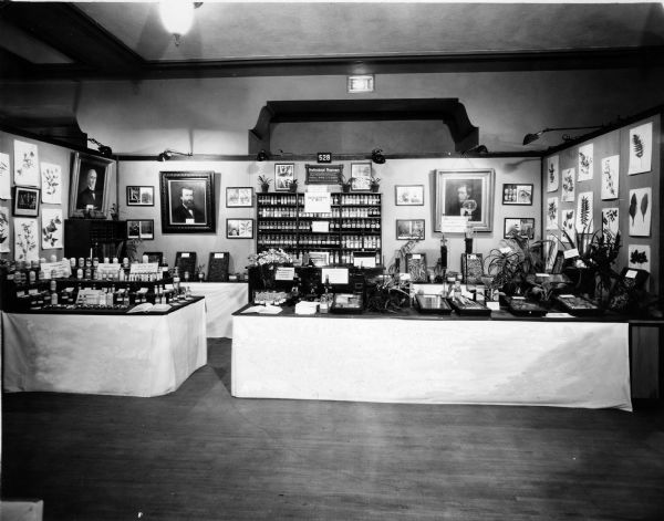 View of the U.S. Pharmacopeial Convention's exhibit at the 1928 American Medical Association Convention, prepared and conducted by the College of Pharmacy of the University of Minnesota. The exhibit features a display of various medications, plants, and several paintings (l to r: Samuel W. Melendy, William Proctor, Jr., and Edward Parrish). The exhibit received a "Special Certificate of Merit" for its educational displays.