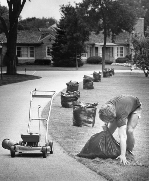A man picks up grass from a lawn, with garbage bags of mowed lawn clippings lined up behind him. A lawn mower stands on the sidewalk nearby.