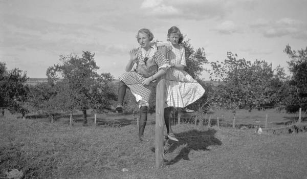 School friends Ethel and Eleanor fence-sit on a summer day.