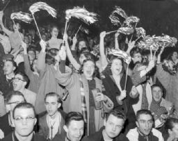 Fans at Sporting Event