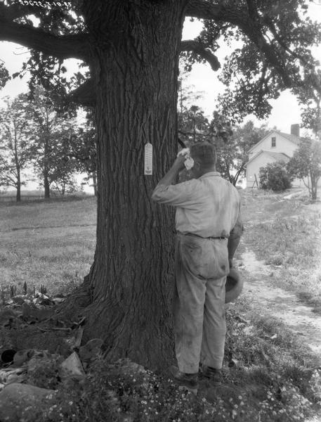 Man standing and wiping the sweat from his brow while reading a thermometer in a rural setting. The thermometer is nailed to a tree, and a farmhouse is in the background.