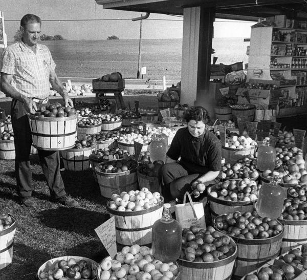 Couple arranging varieties of apples and jugs of cider at their roadside stand near Mukwonago.