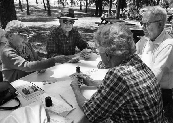Group plays cards underneath the shady trees in Mitchell park.