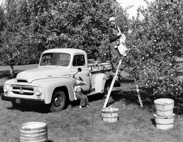 Publicity photograph showing a little girl sitting on the running board of an International R-series pickup truck and eating an apple while her father picks more from the top of a ladder.