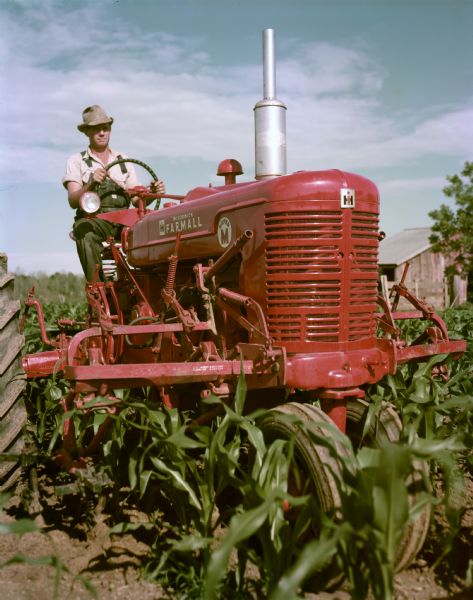 View towareds a farmer operating a stage I McCormick Farmall Super M tractor with cultivator in a cornfield.