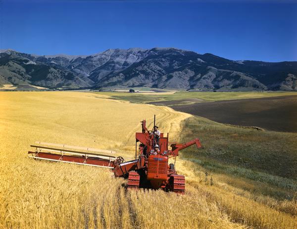 Color photograph of an International crawler tractor [TracTracTor] pulling a No. 51  hillside combine (harvester-thresher) against a beautiful mountainous backdrop.