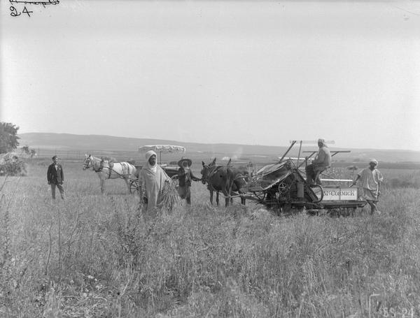 Foreign farm scene, possibly in Algiers, with farmers using a mule-drawn McCormick binder in a field. In the background is a horse-drawn carriage.
