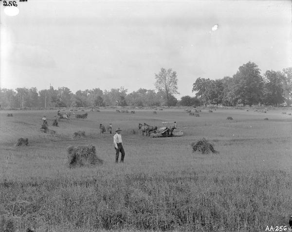 View across field towards farm workers posing while harvesting grain. Two McCormick grain binders are being drawn by mules in the distance.