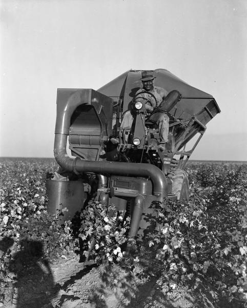 Farm worker, Frank White, stops harvesting to pose with watermelon found among the cotton crop. The field, part of the O'Neill Ranch located in Helm, California, was formerly used for watermelons. Mr. White is sitting in a McCormick-Deering cotton harvester.