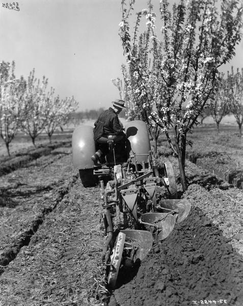Farmer H.C. Secord plowing an orchard field with McCormick-Deering O-4 tractor and a No. 82 three-furrow orchard plow. The plow was owned by the Canadian Canners Company. This photograph was taken on the company's Stamford Farm 22-E.