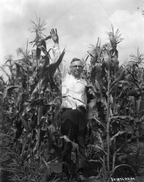 Man standing with his right arm raised in a cornfield, most likely to measure the height of the corn stalks.