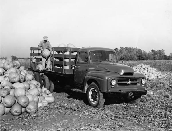 Man and a boy loading (or unloading) pumpkins into an International R-160 truck.