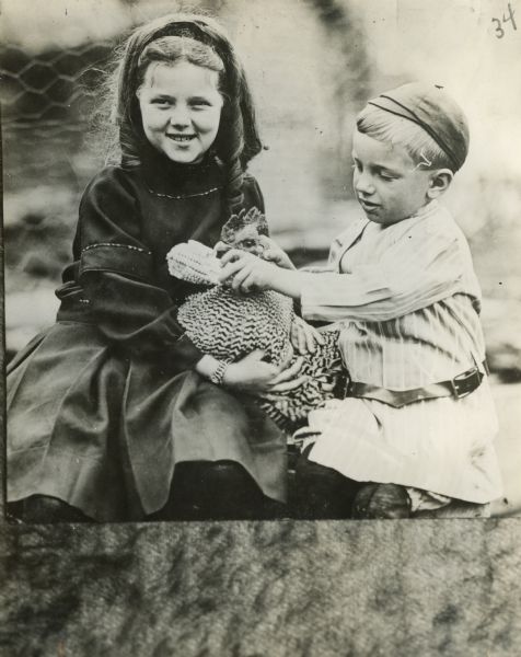 Two children posing with their pet cockerel. The boy is holding up a piece of dried corn on the cob.