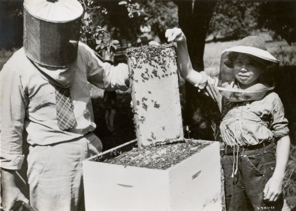 John Amos and Wilbur Allio wear protective veils and are standing on either side of a hive of bees.