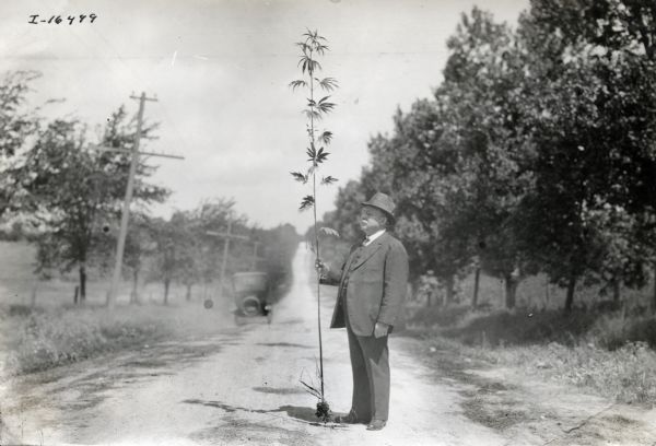 A man wearing a suit and hat standing in a dirt road holding a hemp plant, probably to be used in the production of binder twine.