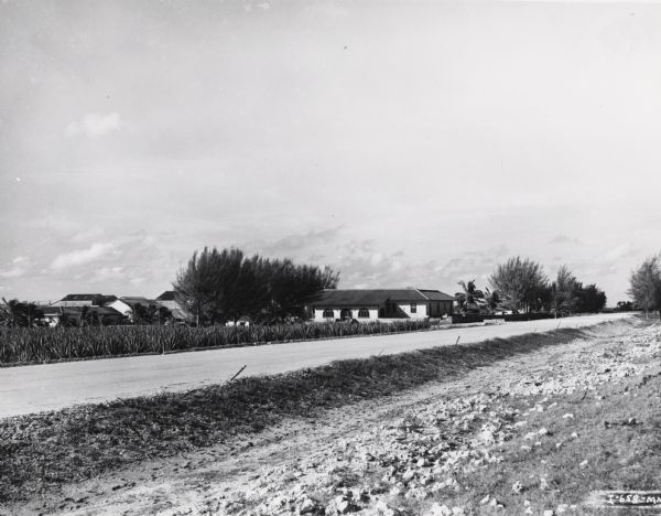Manager's house on an International Harvester sisal plantation in Cuba. Original caption reads: "View of the manager's home on the IH plantation in Cuba. The road from Via Blanca as seen in the foreground runs between the sea and the plantation buildings."