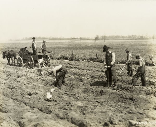 Boys using hand tools to work in a field. A mule-drawn wagon is in the background. They are all wearing hats and overalls.