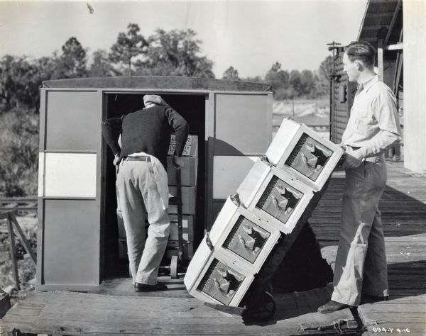 Loading Crates of Fruit on Truck Two men load boxes of packed fruit into the back of a truck at the loading dock of the Vaughn-Griffin Packing Plant. The boxes have advertisements on them featuring the text: "Polly-Ann" with an illustration of a woman with a bird.