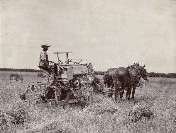Farmer operating an older model horse-drawn grain binder in a field.