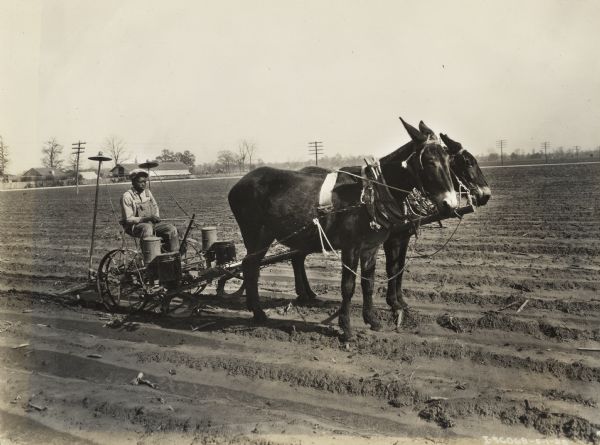 Young man sitting in a planter drawn by two mules on the plantation of Mrs. William H. Stovall.