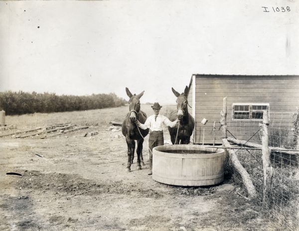 A man holding the bridles of two mules stands near a farm building and a large round water basin.