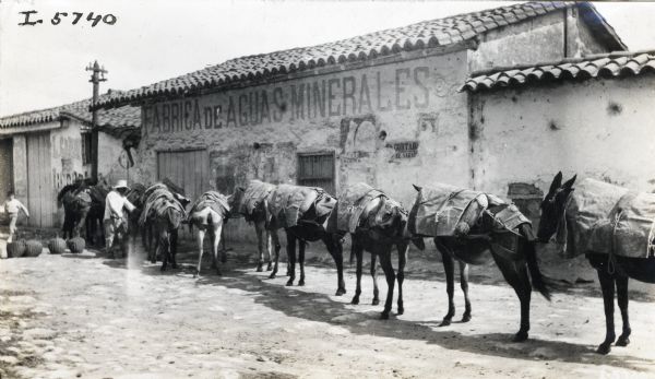 Mule Train Outside Mineral Water Factory Two men fill the packs of mules lined up outside a building which has a tiled mission roof. The side of the building is labeled: "Fabrica de Aguas Minerales." The photo may have been taken in Mexico or South America.