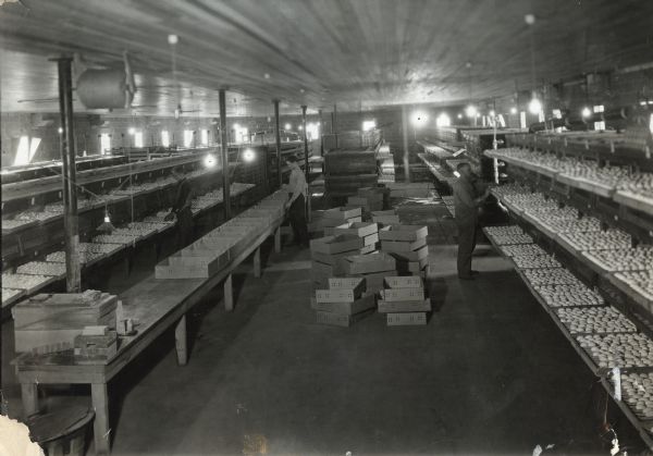 Three men inspecting eggs in large cartons on multi-tiered shelves at Superior Hatchery. Cardboard cartons are piled in the center aisle.