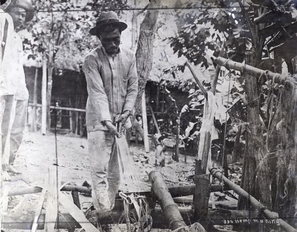 A man pulls fiber from the leaves of a manila plant in the Philippine Islands. Other men look on over his shoulder, and a dwelling or other structure is in the background.
