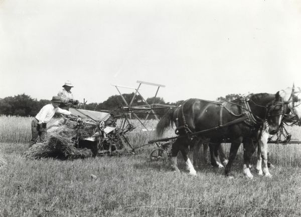 A man is reaching into the moving packer arms of a grain binder, while another man is driving a team of horses pulling the machinery across a field at the Peter Ricker farm.