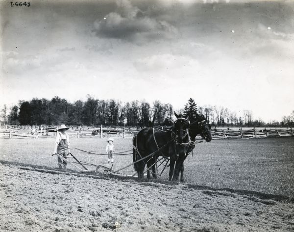 A man uses a walking plow led by a team of two horses to work in a farm field while a child watches from behind.