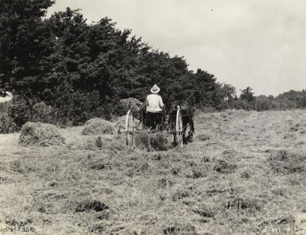 Farmer in a field with a horse-drawn McCormick-Deering hay tedder.