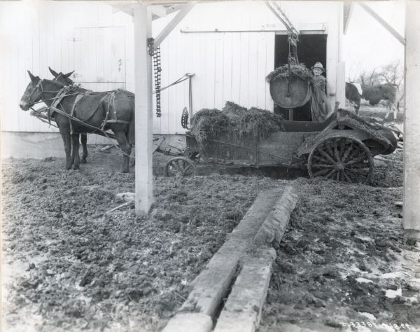 A man wearing a hat loads a large bin of fertilizer, with the aid of an overhead pulley system attached to a barn, onto a manure spreader that is being pulled by two mules. A cow stands in the background, and the original caption reads: "Kendall Stock Farm, Indianapolis, Ind."