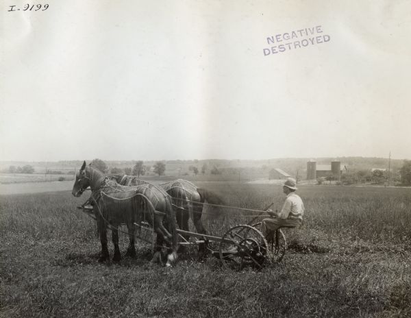 Side view of a man operating a horse-drawn mower in a field with farm buildings in the background. The horses are wearing fly-nets and blinders.