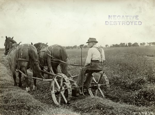 Man Operating Horse-Drawn Mower Man operating a horse-drawn mower in a field. The horses are wearing blinders and fly-nets.