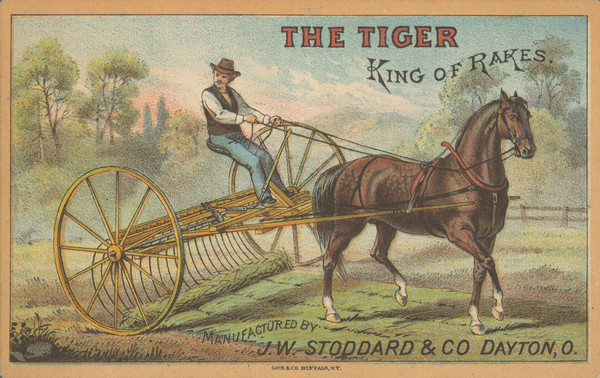 The Tiger, King of Rakes Advertising Card Features a color illustration of a man using a horse-drawn sulky rake.