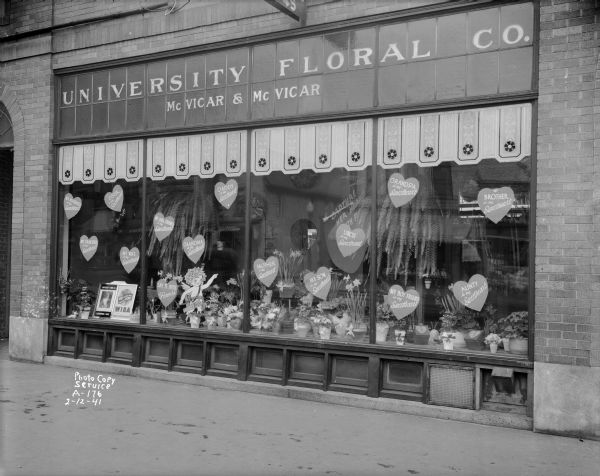 Valentine floral display window at University Floral Company, 747 University Avenue. Owned by Dea McVicar and his son Angus McVicar.