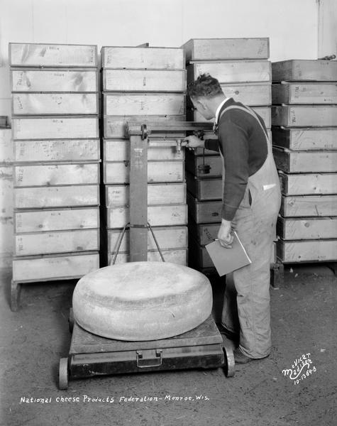 A worker weighing a wheel of cheese on a balance scale for the National Cheese Products Federation.