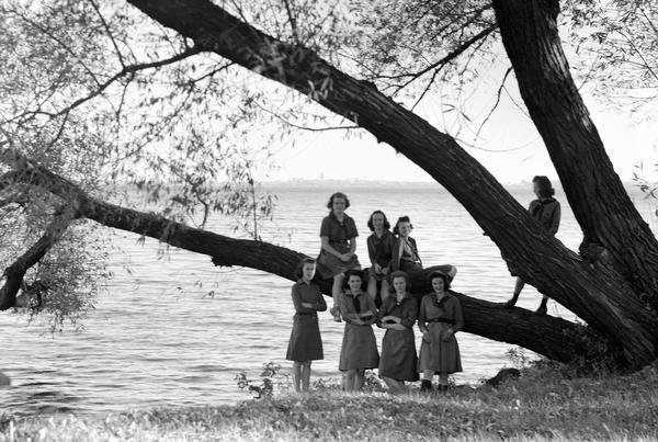 Eight Girl Scouts are standing on and near a tree at the edge of Lake Mendota, with the Madison skyline in the background at Camp Indianola.