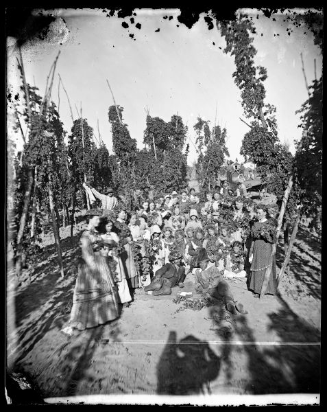 Hop harvesters, mostly female, stand with hops, probably on the farm of Knudt Heimdal. Many of the harvesters have hop wreaths on their heads. Two men with hats lie in front of the group. The brim of the man on the left is decorated with hops. Note the shadow of Andreas Larsen Dahl in the foreground.