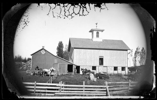 Men and cattle, including one lineback and sheep are in a barnyard. A man and a child are sitting in a horse-drawn vehicle outside of the barnyard fence. The barn has a stone foundation and decorative weather vane.