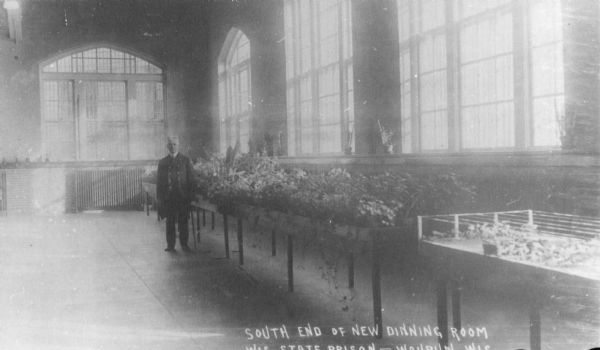 View of the south end of the new dining room in the Wisconsin State Prison. A man is standing next to a long table filled with plants. Large windows are along the right and back walls.