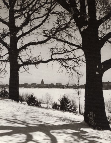 View of the Wisconsin State Capitol from Lake Road, across Lake Monona. Two large trees frame the view.