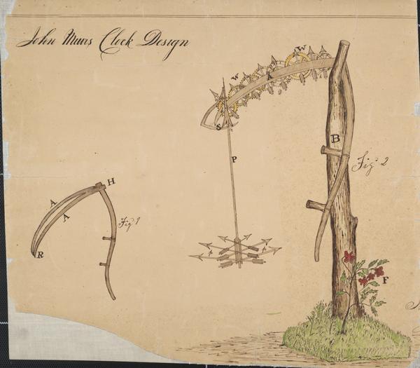 Sketch of John Muir's clock design.The built clock was a combination of scythes, wheels and arrows. A rough bough of burr oak was set upon a base incrusted with moss. In one of the branches is hanging a miniature scythe with a regularly fashioned snathe and handles. At the place of union were attached two wooden scythes, swelling slightly from each other, but united at the points. Filling the space between the scythes from heels to points was a succession of wooden cog-wheels and small wooden dials. Depending from the scythe points was a wooden pendulum in the shape of an arrow, hanging point down. At its lower end forming the ball of the pendulum, was a cluster of six copper cents in use at that day. To the uppper end of the arrow pedulum was attached two tin copper scythes (also formed out of coins) which, as the pendulum swung, would move as in mowing, the points of the scythes at each swing catching a cog in the little wheel placed there, thus setting in motion the whole machinery. In addition to the records of the larger clock, this one told also the month and the year, and could be attached to the bed alarm.