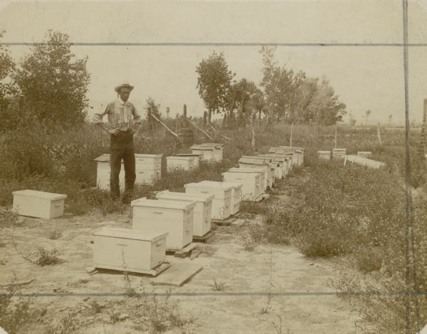Roy Tait standing next to some of his beehives.