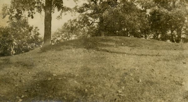 Oval burial mound at the T. Lewis Mound group in what is now Indian Mounds Park.