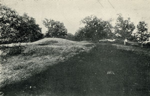 A row of conical mounds at Morris Park on the west side of Lake Mendota, in or near Governor Nelson State Park.